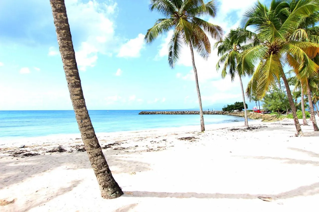 Studio Bleu Ely - Gosier Centre - Acces Plage Le Gosier  Guadeloupe