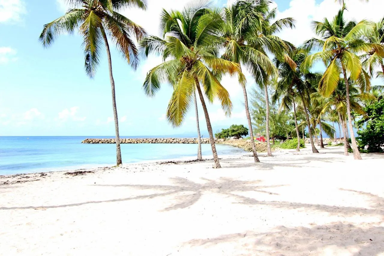 Studio Bleu Ely - Gosier Centre - Acces Plage Le Gosier  Apartment Le Gosier (Grande-Terre)
